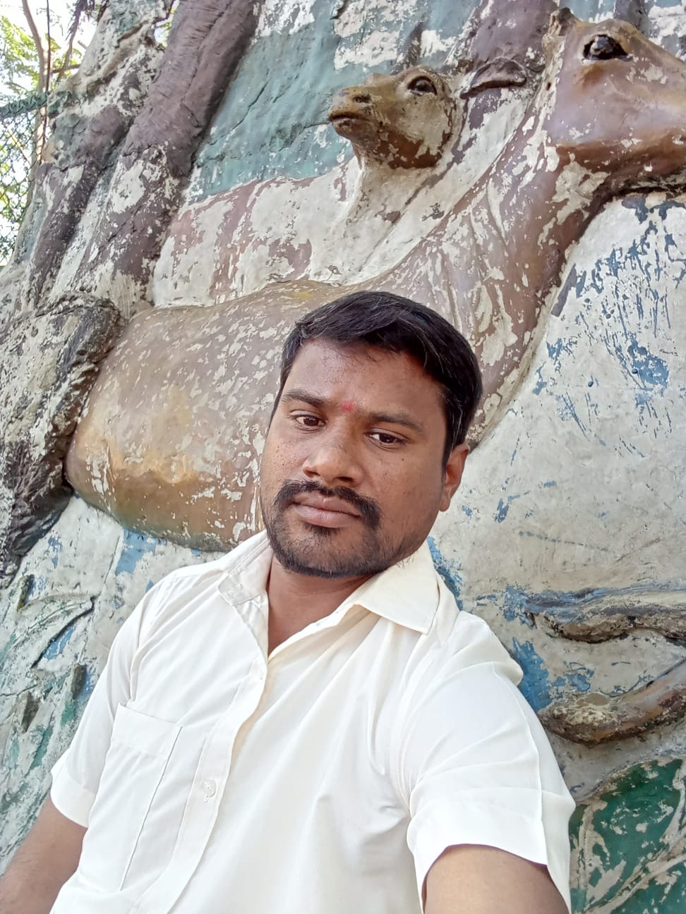 GUDELLI KUSHA KUMAR